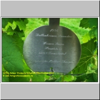 16704 Saraus Weinberg Bullenheim Oberfranken 2010.JPG